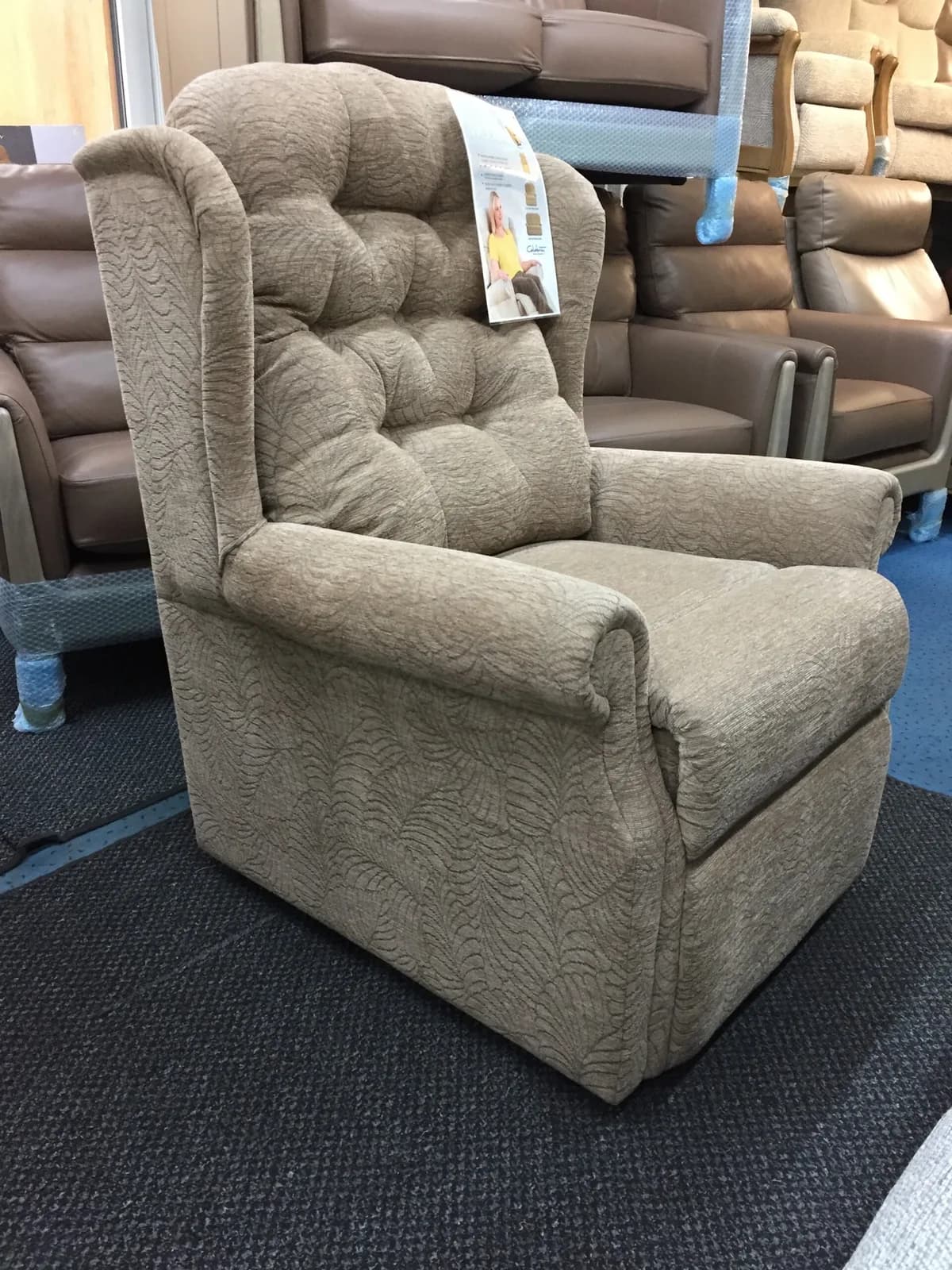 Celebrity Woburn Petite Chair in Ottawa Rose — photograph 1